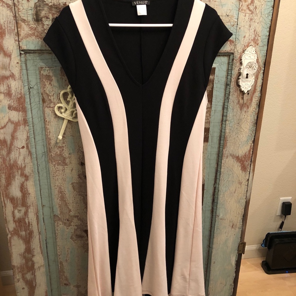 VENUS- NWOT, fit & flare dress